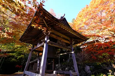 天開山泰運寺の紅葉（3）