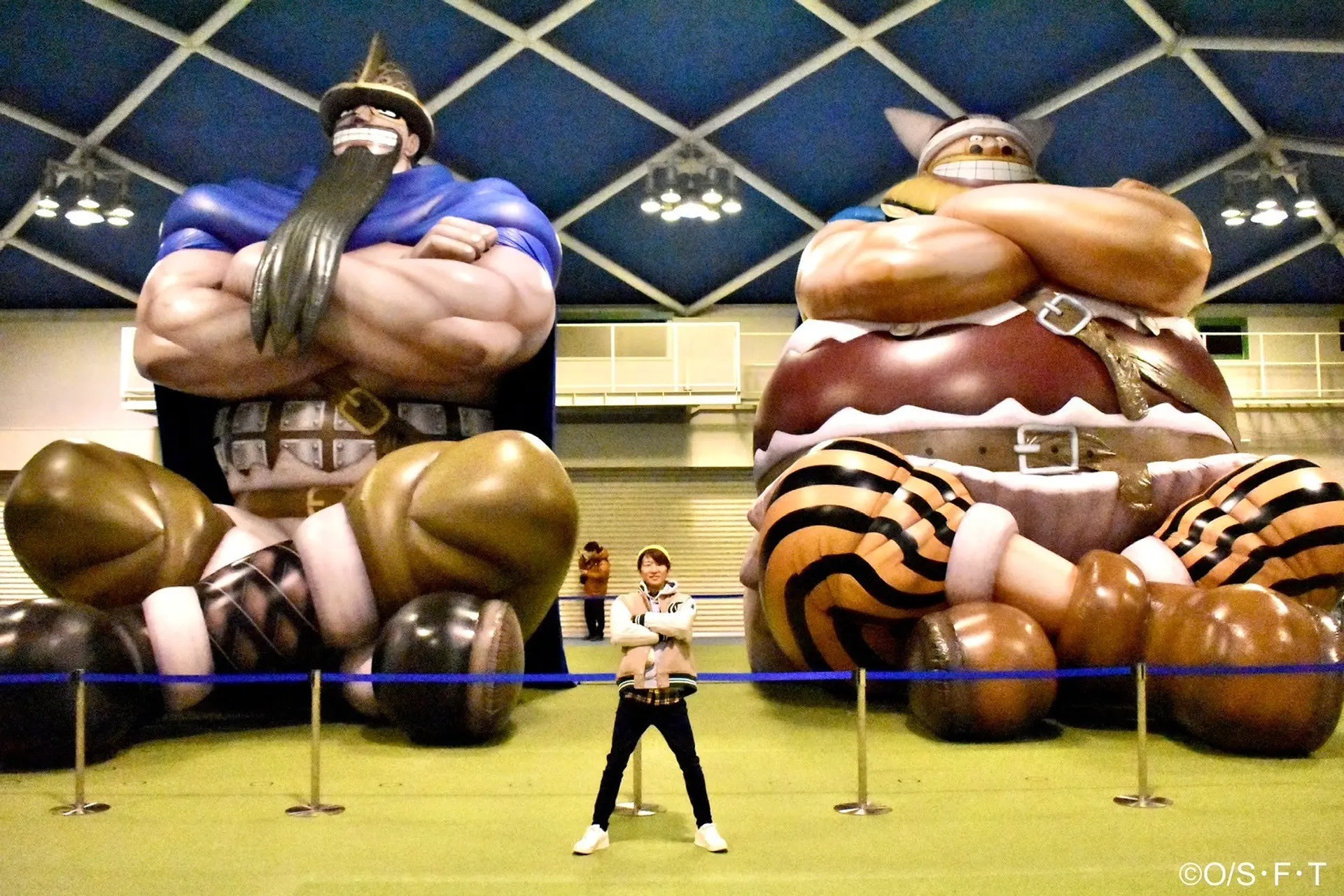 ドリーとブロギー