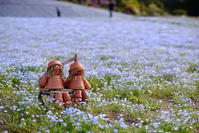 志摩市観光農園のネモフィラ（2）