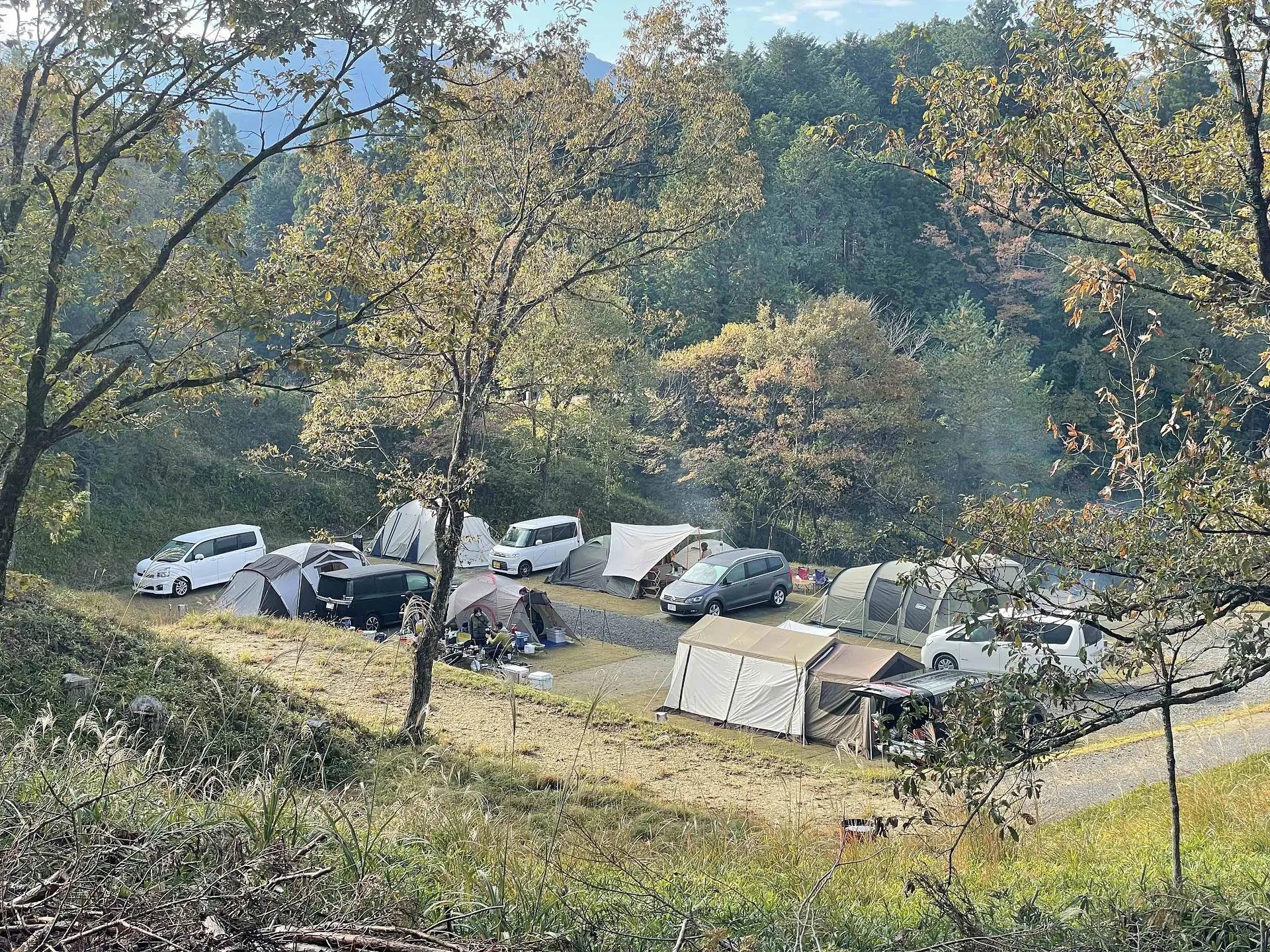 伊賀の国大山田温泉さるびの 