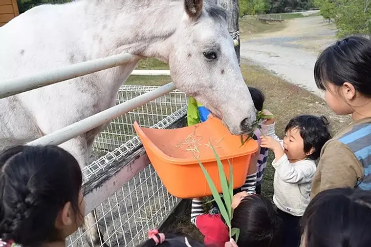 OKオートキャンプ場 馬とのふれあいタイム♪