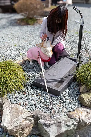 ペットシャワー