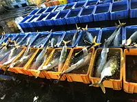 波切漁港でのせり体験