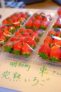 草莓 (月之市)