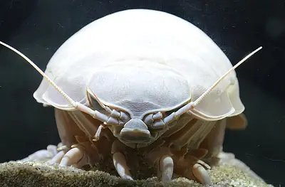 夏休みに子供たちと行きたい”学べるスポット＆イベント”🔍