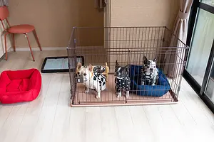 ワンちゃんゲージ