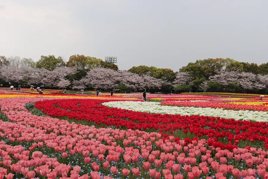 花ひろば・なばなの里（春）