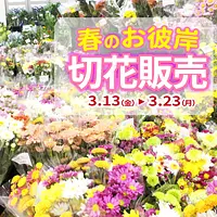 お彼岸の切花販売