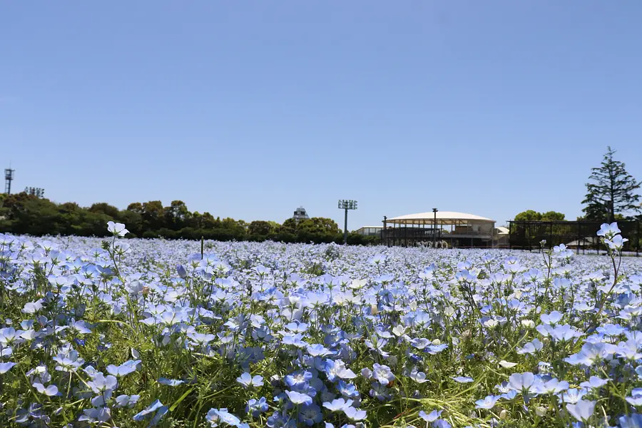 花ひろば・なばなの里（春）