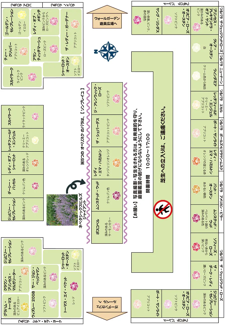 ローズガーデン植栽図
