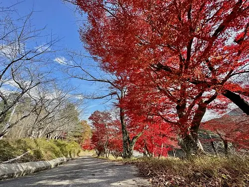 粟生頭首工