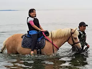 馬と海遊び