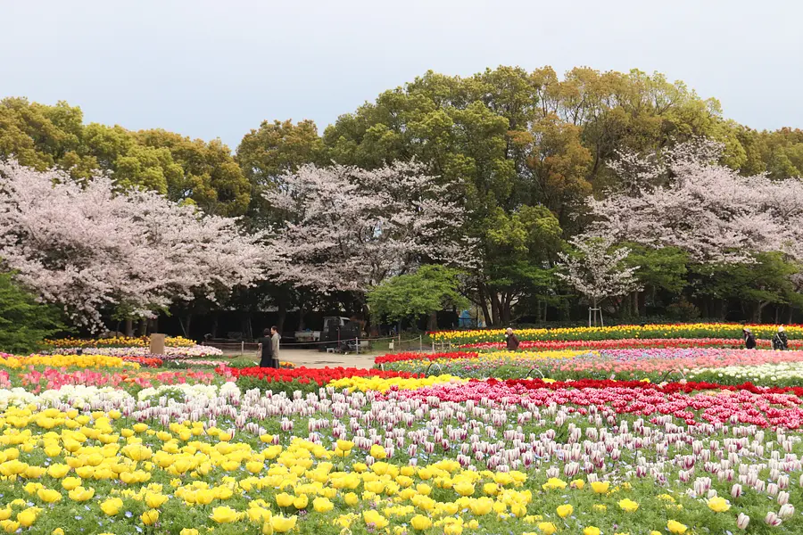 花ひろば・なばなの里（春）