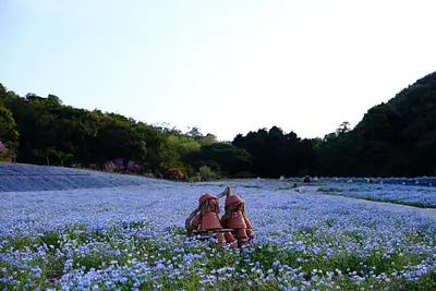 志摩市観光農園のネモフィラ（9）