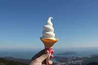 Tenku soft serve ice cream