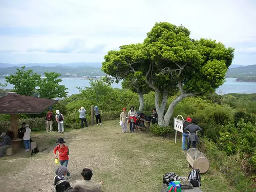 Konpirayama Observation Deck