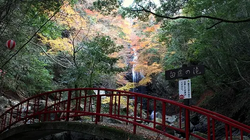 白藤滝の紅葉