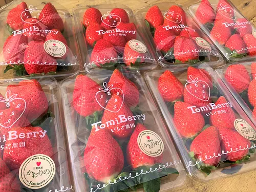 Granja de fresas Tomi Berry