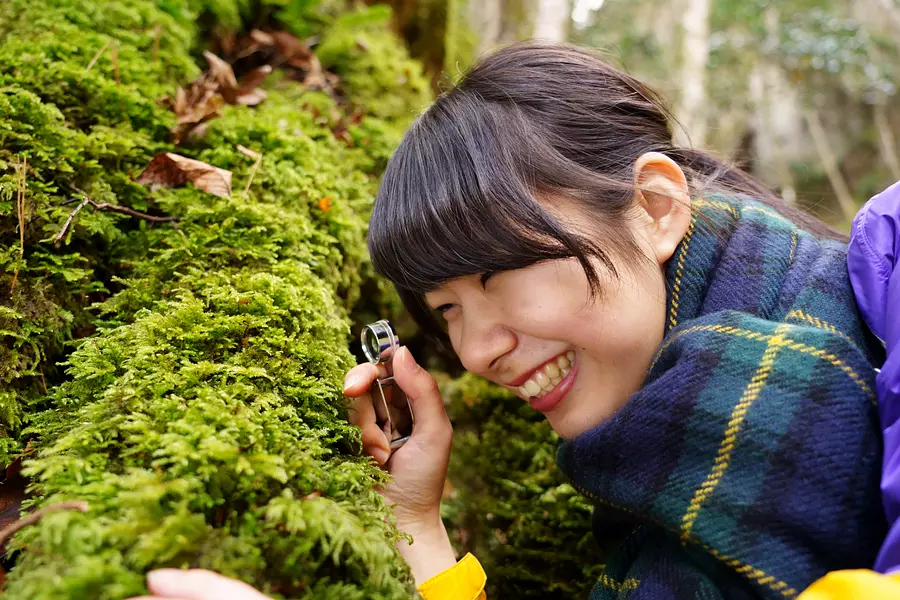 赤目渓谷・ガイドと歩く苔さんぽ