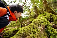 Akame Valley - Walking through the moss with a guide