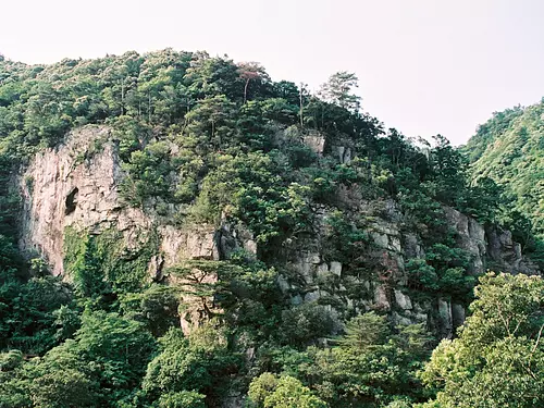 泷谷·桧原的河岸岩壁植物群落 (1)