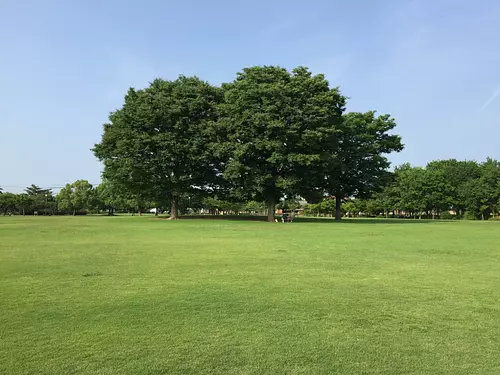 카네보 터공원 “스즈노노모리 공원”