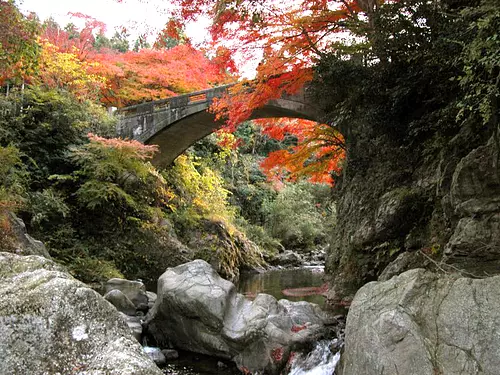 Vallée de Kawachi dans les feuilles d'automne①