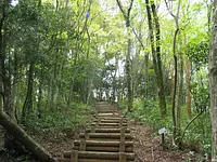 【紅葉】　南亦山森林公園の紅葉