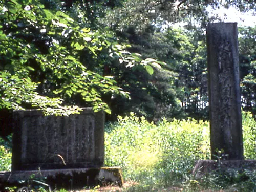 Ruinas del templo Iga Kokubunji