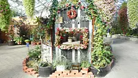 国内最大級のプレミアムフラワーガーデン！圧倒的な花々に囲まれる癒やし体験