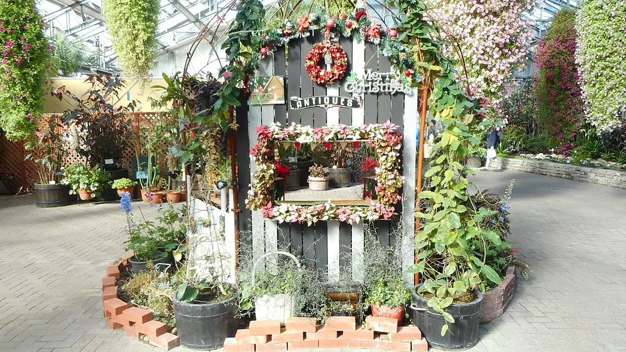 国内最大級のプレミアムフラワーガーデン！圧倒的な花々に囲まれる癒やし体験