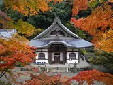 Autumn leaves at Shindaibutsuji Temple