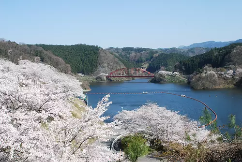 青蓮寺湖（LakeShorenji）