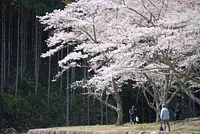 오사토 친수공원