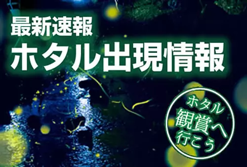 ホタル観賞体験・なばなの里 初夏の風物詩【ご予約不要】