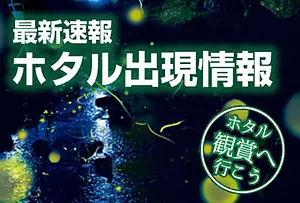 Firefly viewing experience -Nabananosato an early summer feature [Reservation not required]