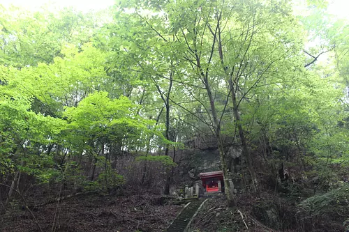 Beech virgin forest at Okuyama Atago Shrine