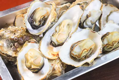 16 recommended all-you-can-eat oysters in Tobaura Village! Introducing oyster huts in Mie Prefecture with a map [2023-2024]