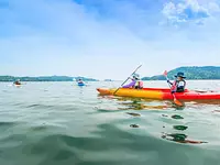 kayaks de la côte ensoleillée