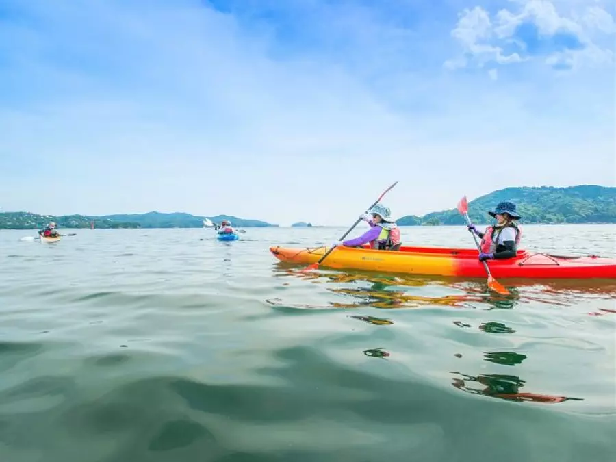 kayaks en la costa soleada