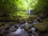 Get away from the heat to Iga this summer! Mie&#39;s hidden famous waterfall &quot;Shirafuji-no-takiFalls&quot;