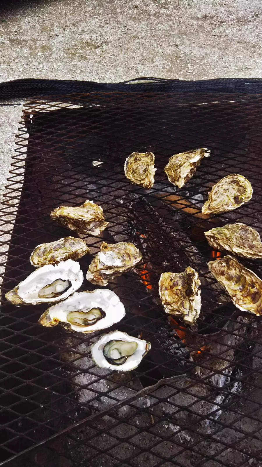 grilled oysters image