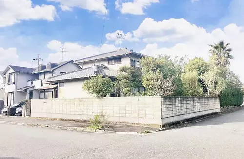 Wisteria nagashima