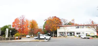 上野運動公園スポーツセンター