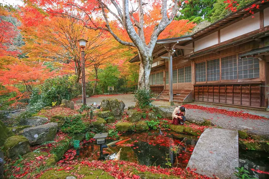 紅葉の名所天開山泰運寺の見所を紹介！駐車場・アクセス方法も解説