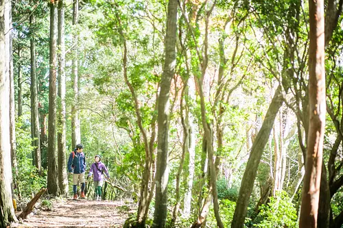 总门山登山道