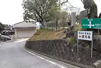 果号寺のシブナシガヤ【国指定天然記念物】