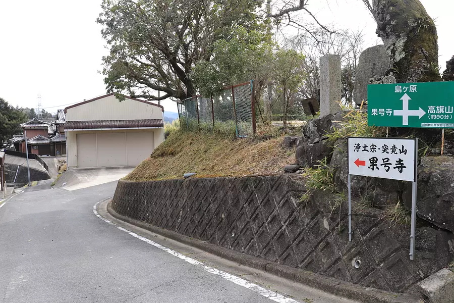 果号寺のシブナシガヤ【国指定天然記念物】