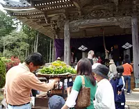 国分寺の花まつり【花】