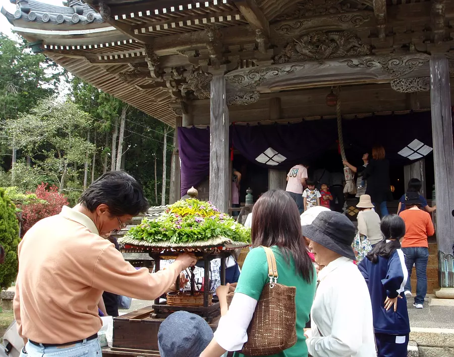 国分寺の花まつり【花】